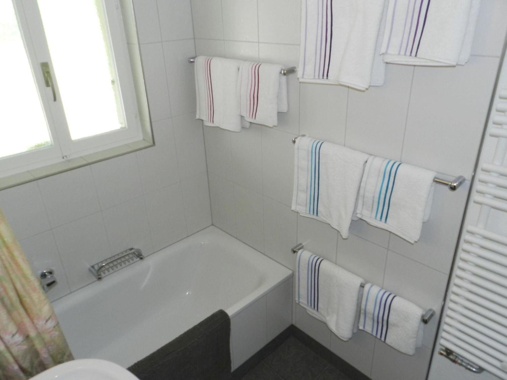 Apartment Goldrose By Interhome Zweisimmen Dış mekan fotoğraf